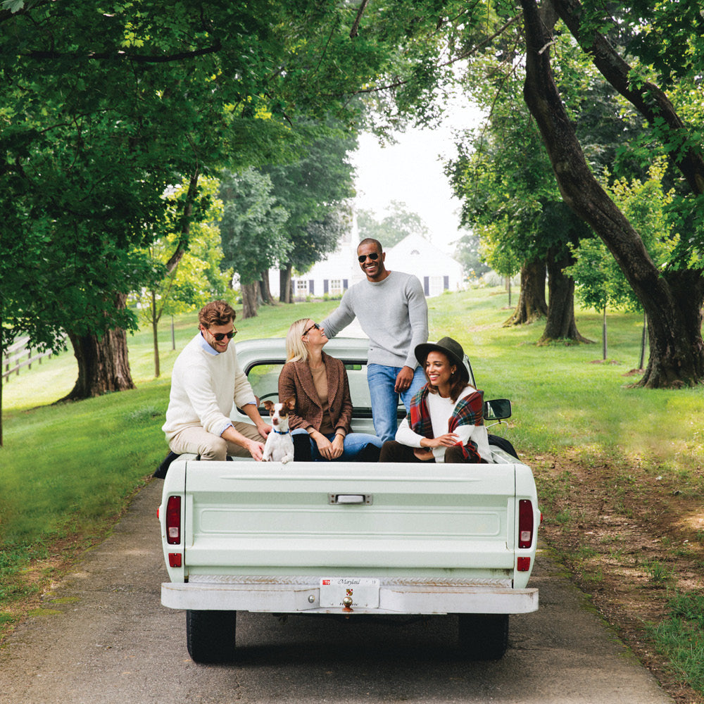 Four friends and a dog enjoy an effortless, fun moment in a classic light-green pickup truck on a country lane, embodying a high-end lifestyle.