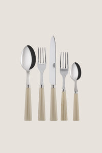 Faux Horn Nature 5 Piece Place Setting