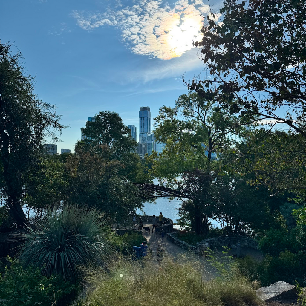 Classic riverside park scene with an effortless path, stone walls, and people enjoying the view; modern high-rises across the water under a fun, sunlit sky.