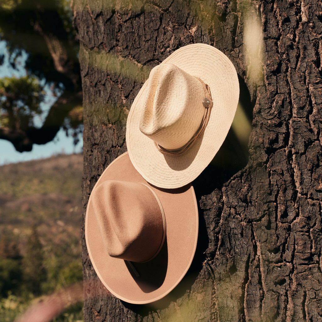 Two classic wide-brimmed hats, a light straw and a warm tan felt, leaning against a tree, embodying effortless, high-end style and fun adventure.
