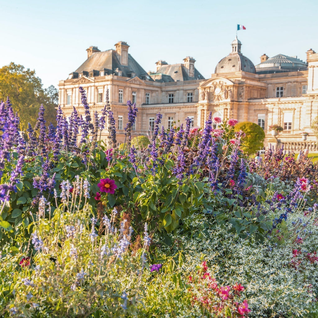 The Paris, France Travel Guide