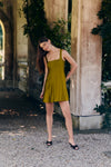 Lentil Dupioni Edith Mini Dress