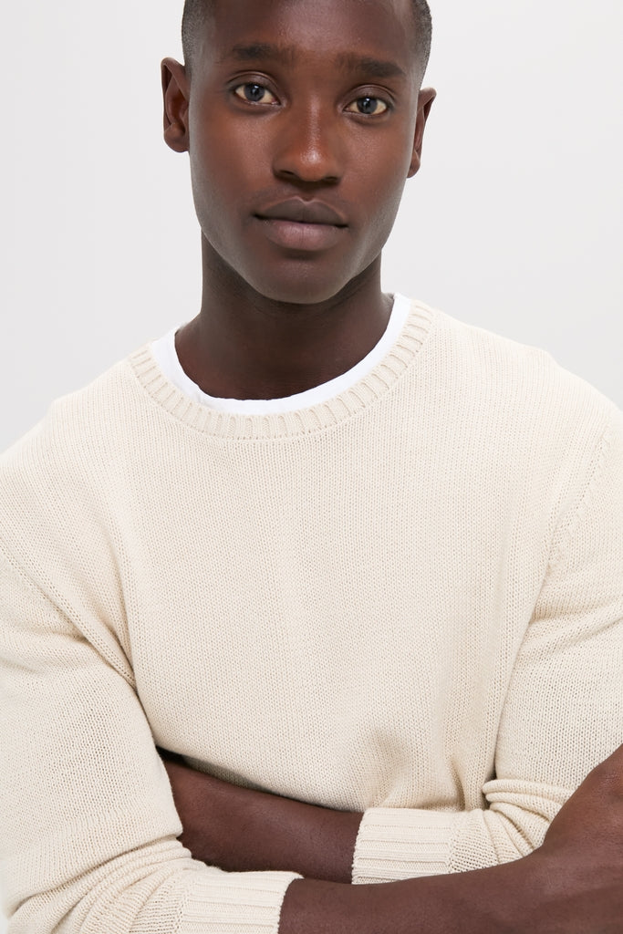 Young man in a Light Tan All Season Classic Crewneck, featuring a textured knit and contrasting hem, embodies effortless, high-end style for versatile, year-round, fun fashion.