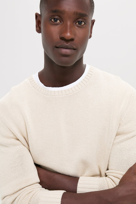 Young man in a Light Tan All Season Classic Crewneck, featuring a textured knit and contrasting hem, embodies effortless, high-end style for versatile, year-round, fun fashion.