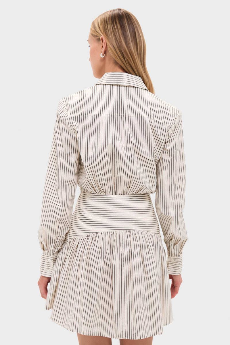 Ivory and Dark Oak Micro Stripe Rocco Mini Dress
