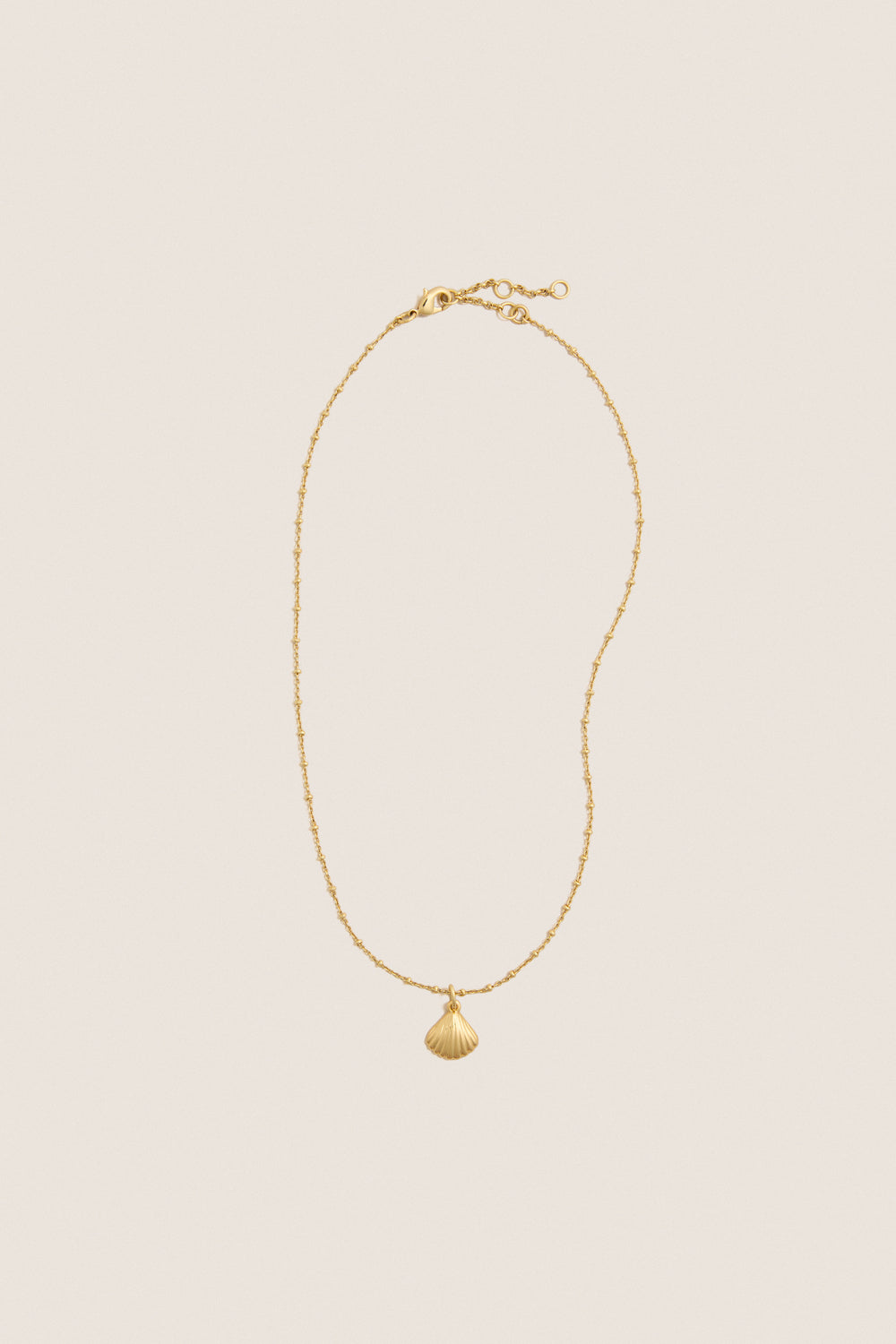 Gold Shell Bridget Necklace