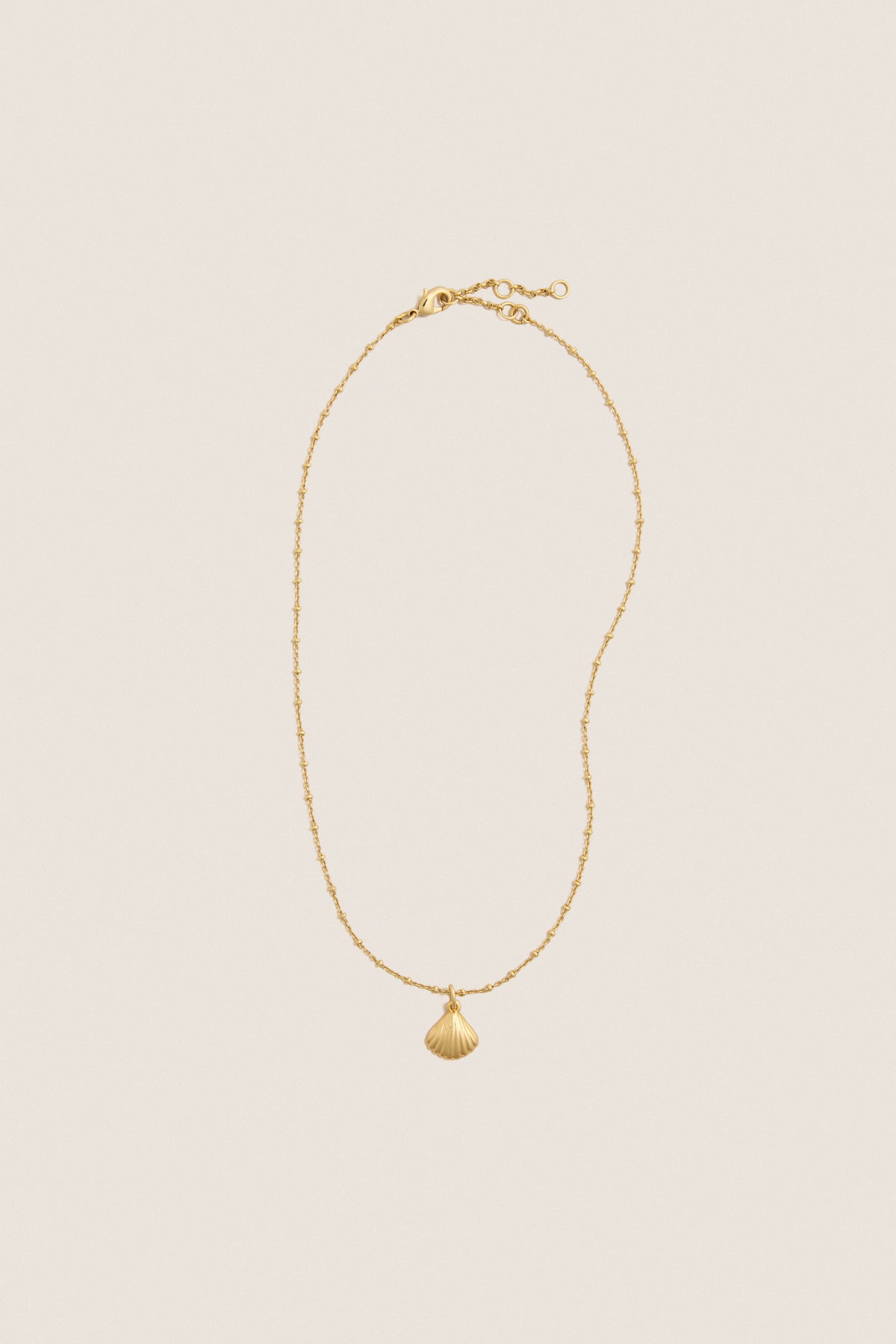 Gold Shell Bridget Necklace