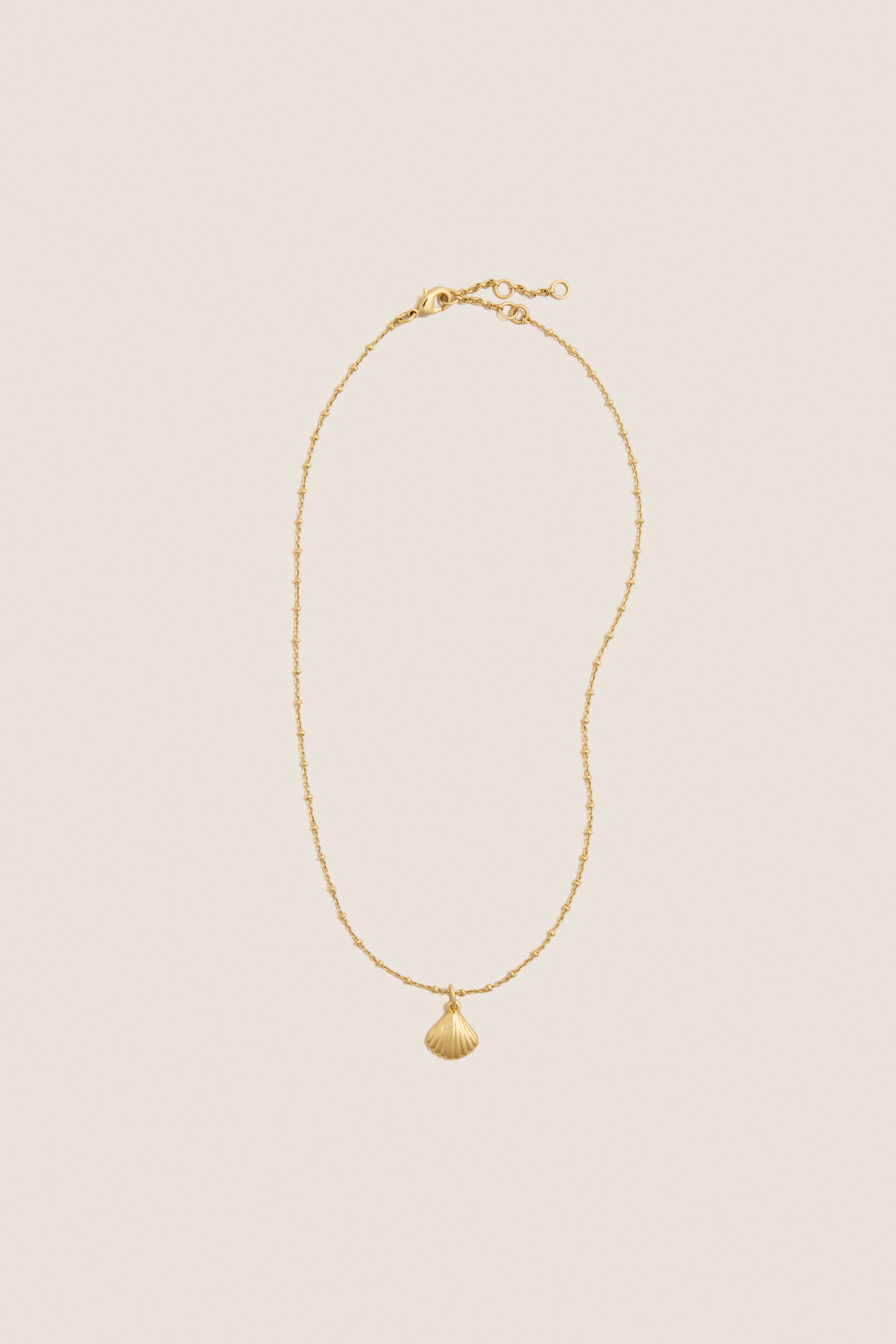 Gold Shell Bridget Necklace