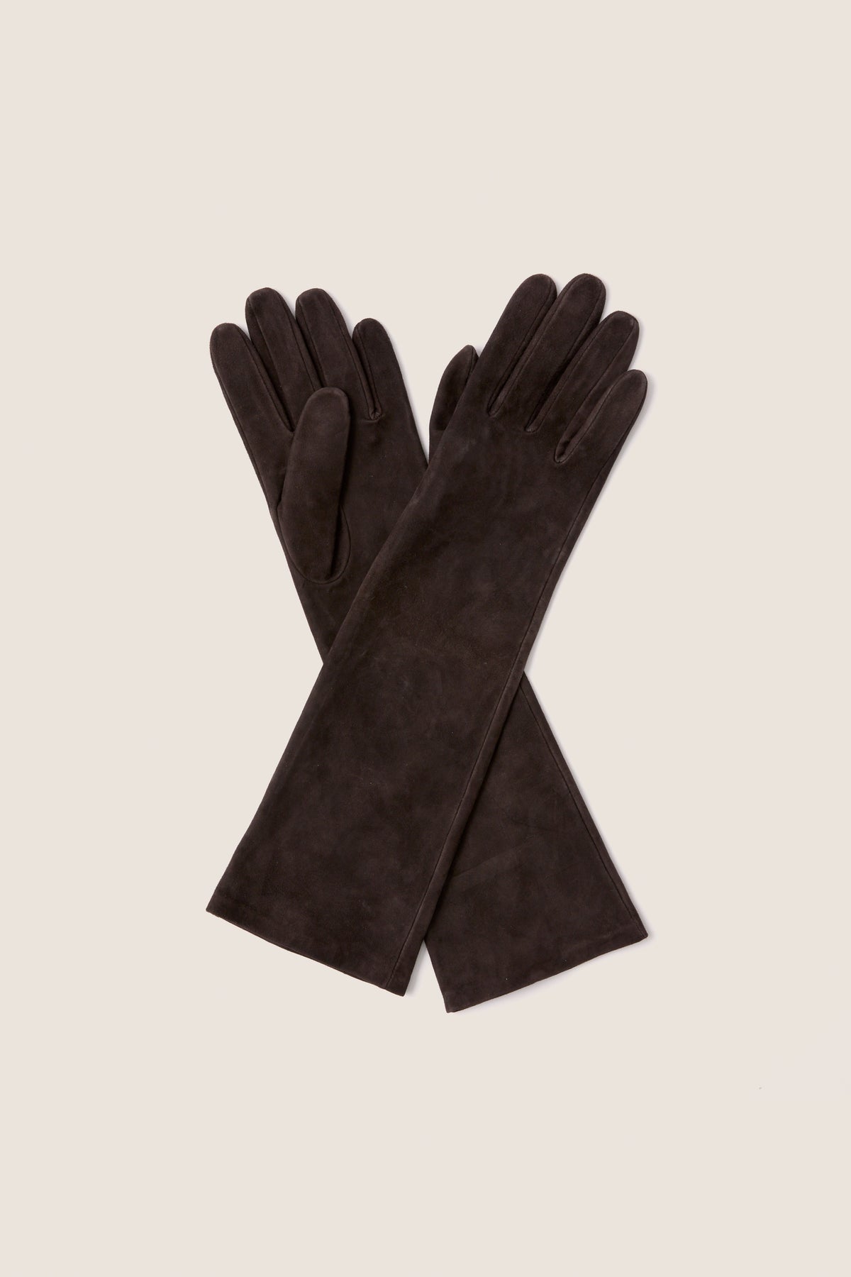 Demitasse Long Suede Gloves