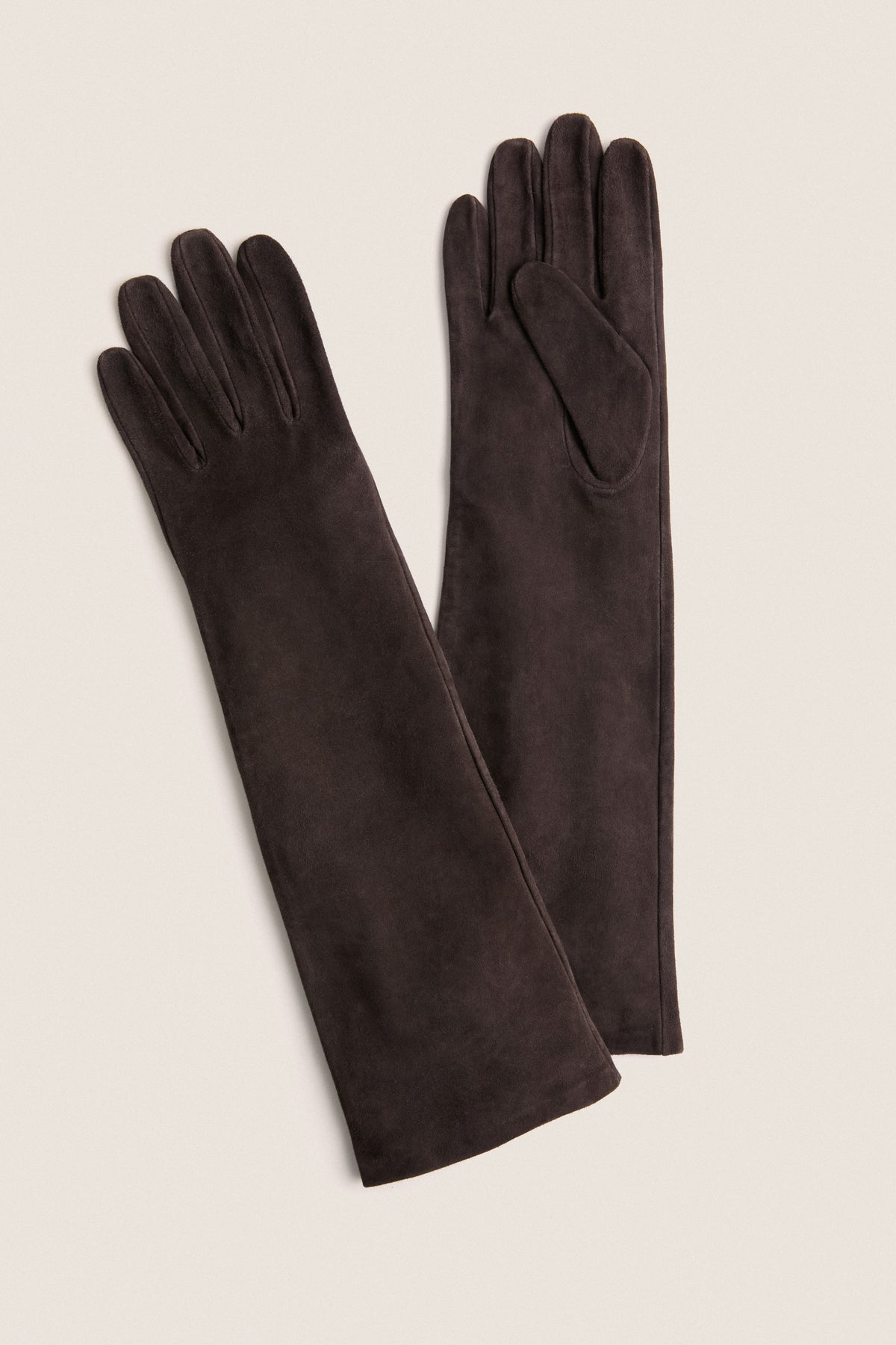 Demitasse Long Suede Gloves