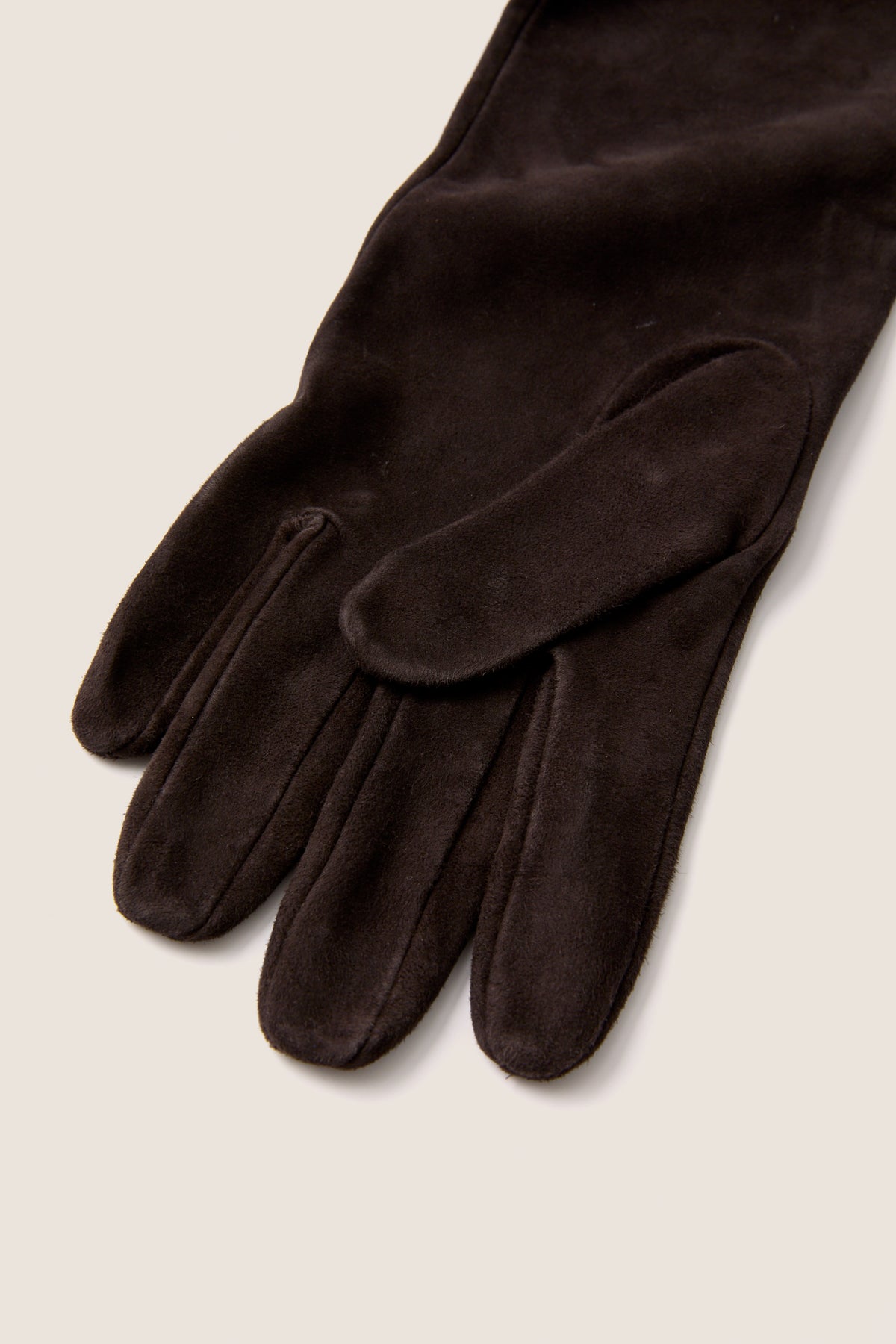 Demitasse Long Suede Gloves
