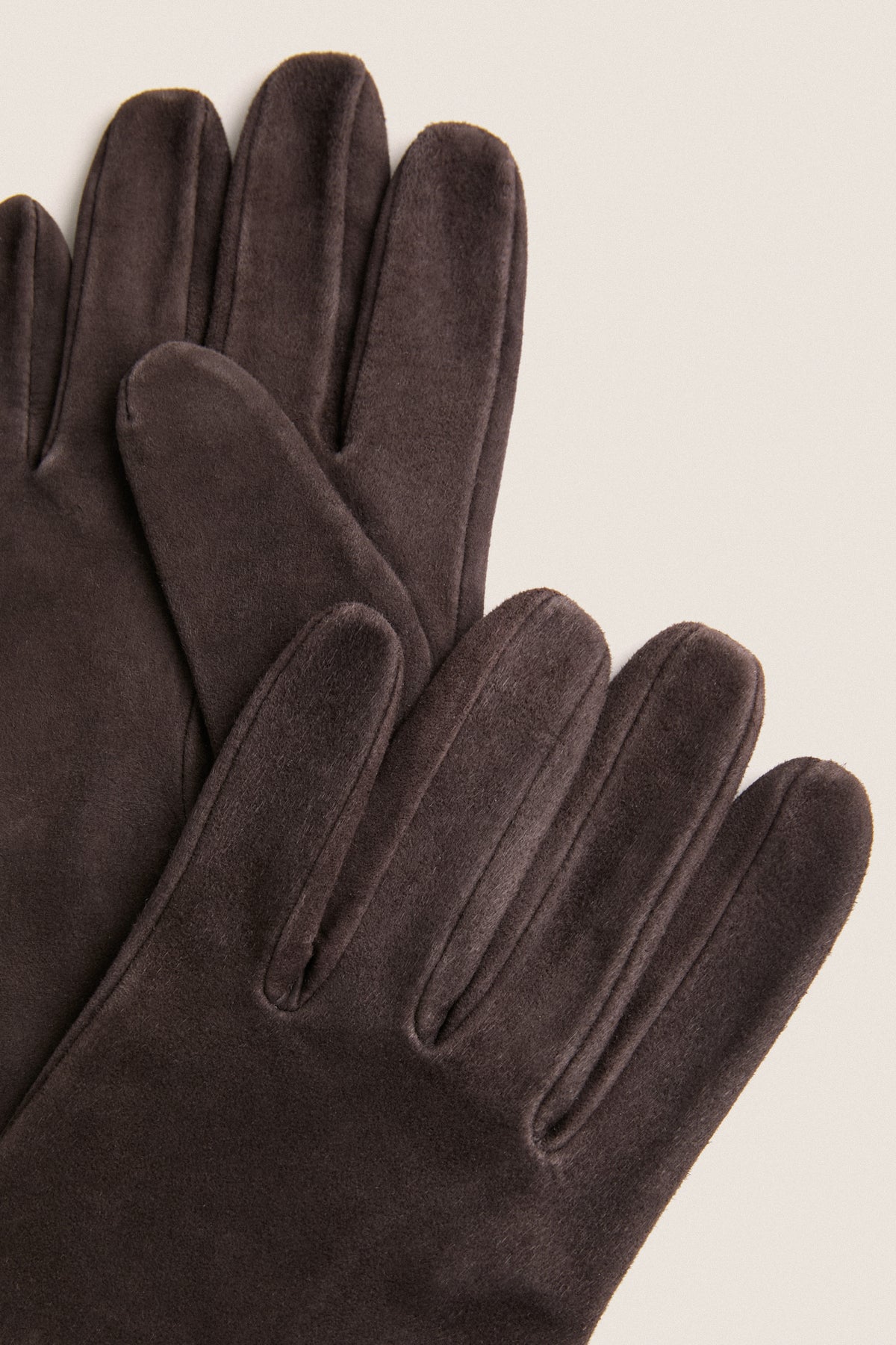 Demitasse Long Suede Gloves
