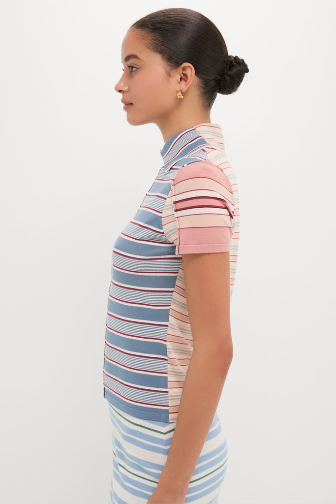 Multicolor Stripe Polo