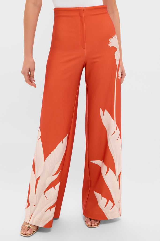 Orange Dandelion Pants | Andres Otalora