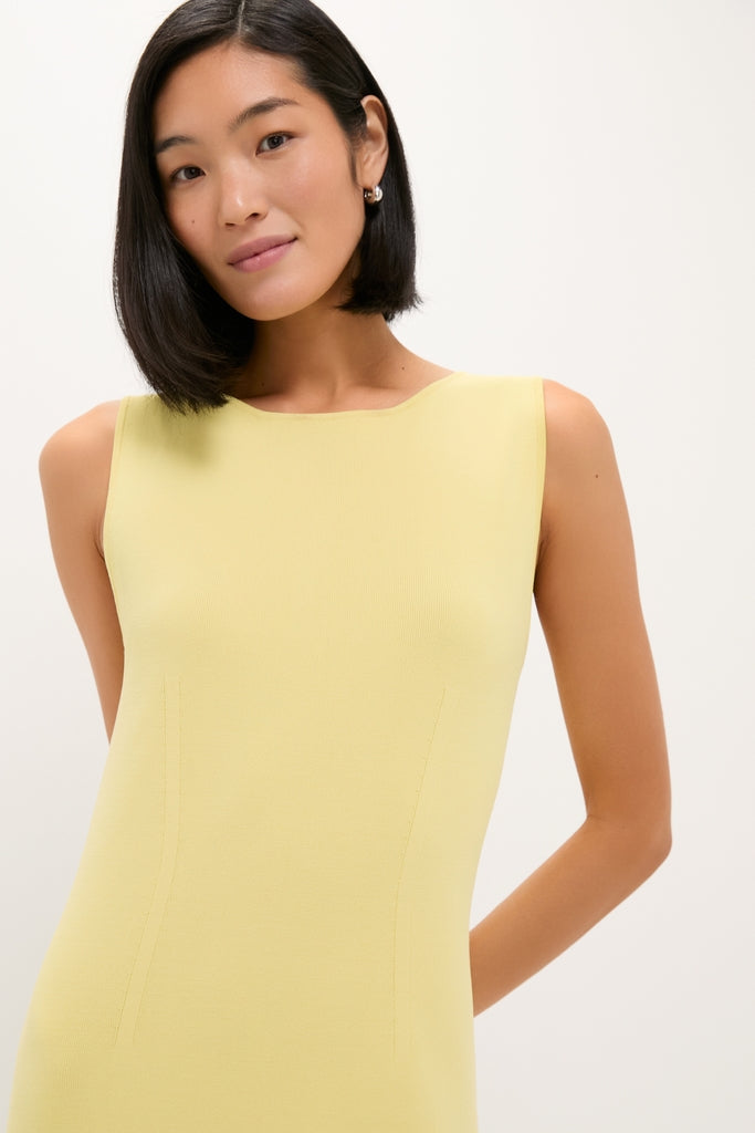 Young woman in a classic, sleeveless Lemongrass Kingston Knit Dress, showcasing an effortless, high-end style with a flattering, form-fitting silhouette, embodying fun and versatility.