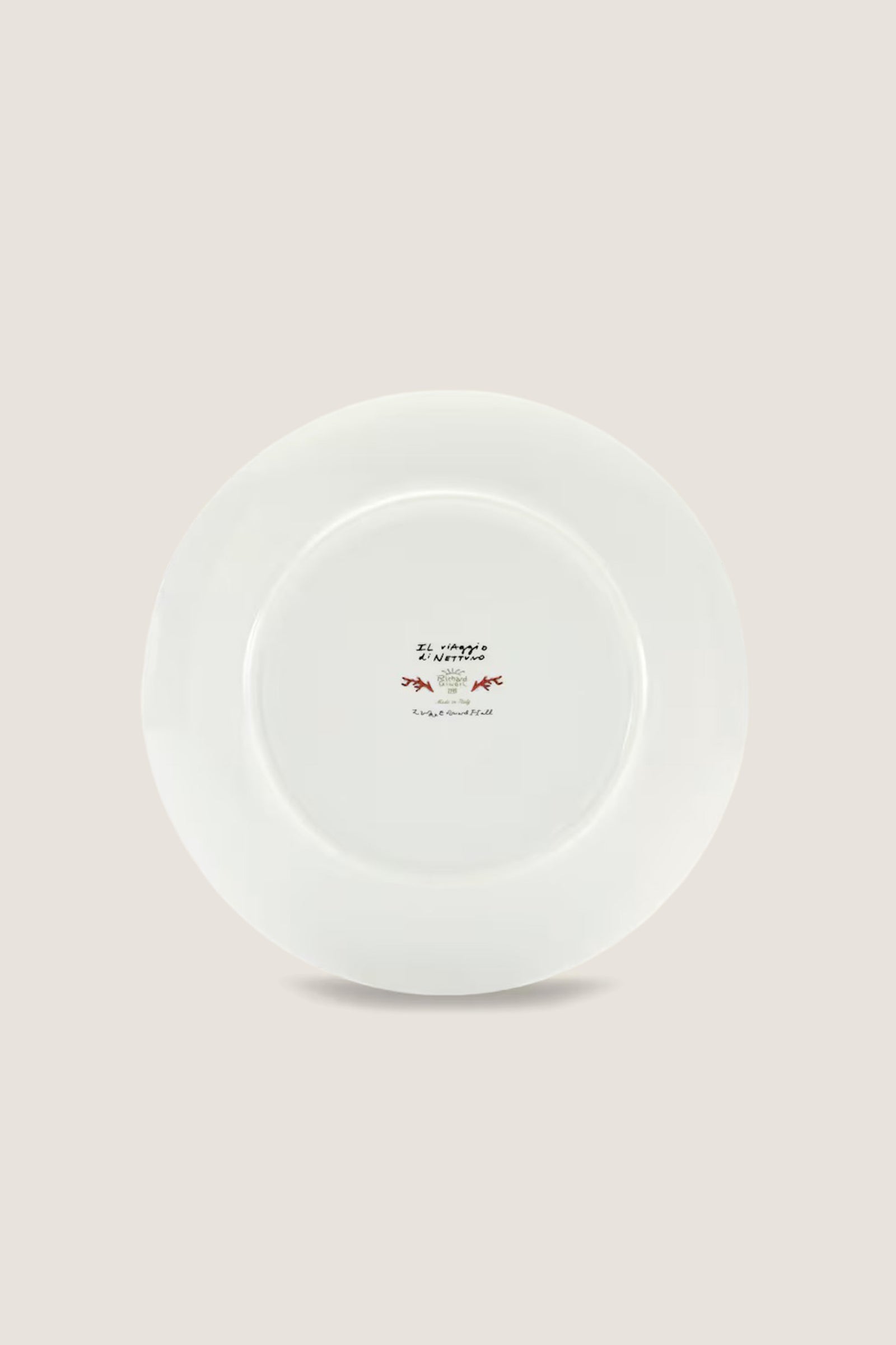 Il viaggio di Nettuno Brown and Light Blue Charger Plate