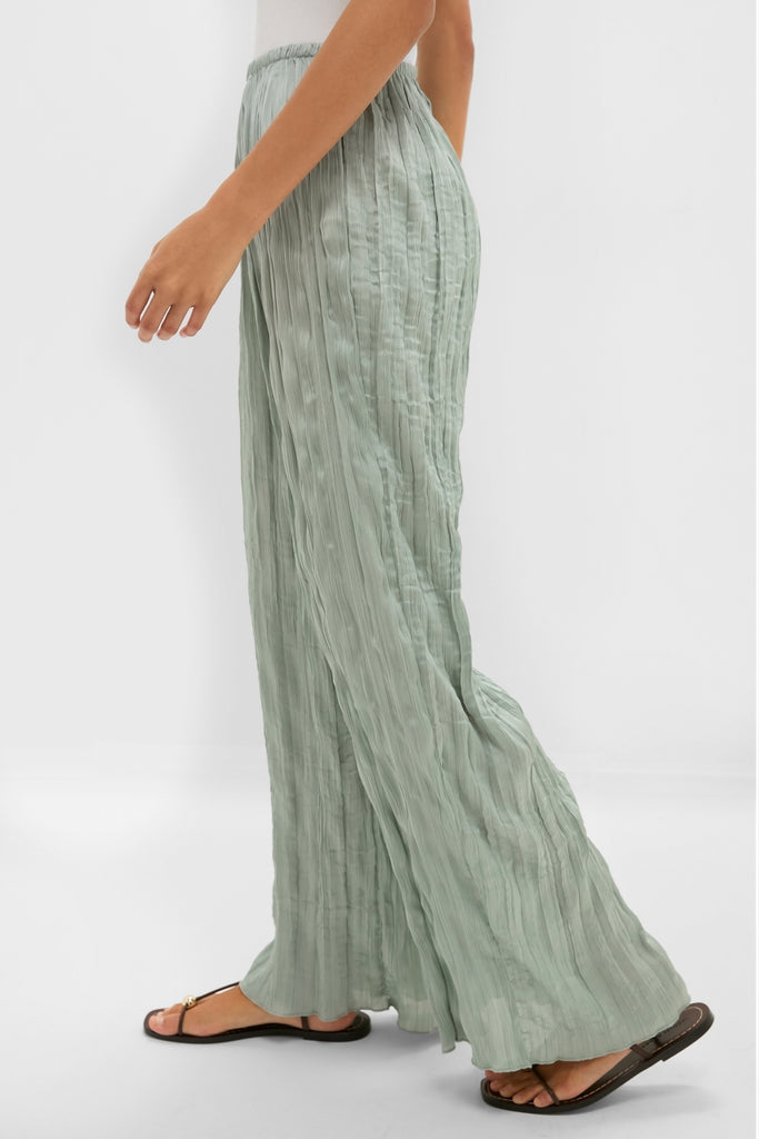 Silver Sage Nami Pant: Effortless, high-end wide-leg pants with pleated detail and elastic waistband, paired with classic black sandals for a fun, relaxed look.
