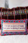 Control Freak Needlepoint Pillow