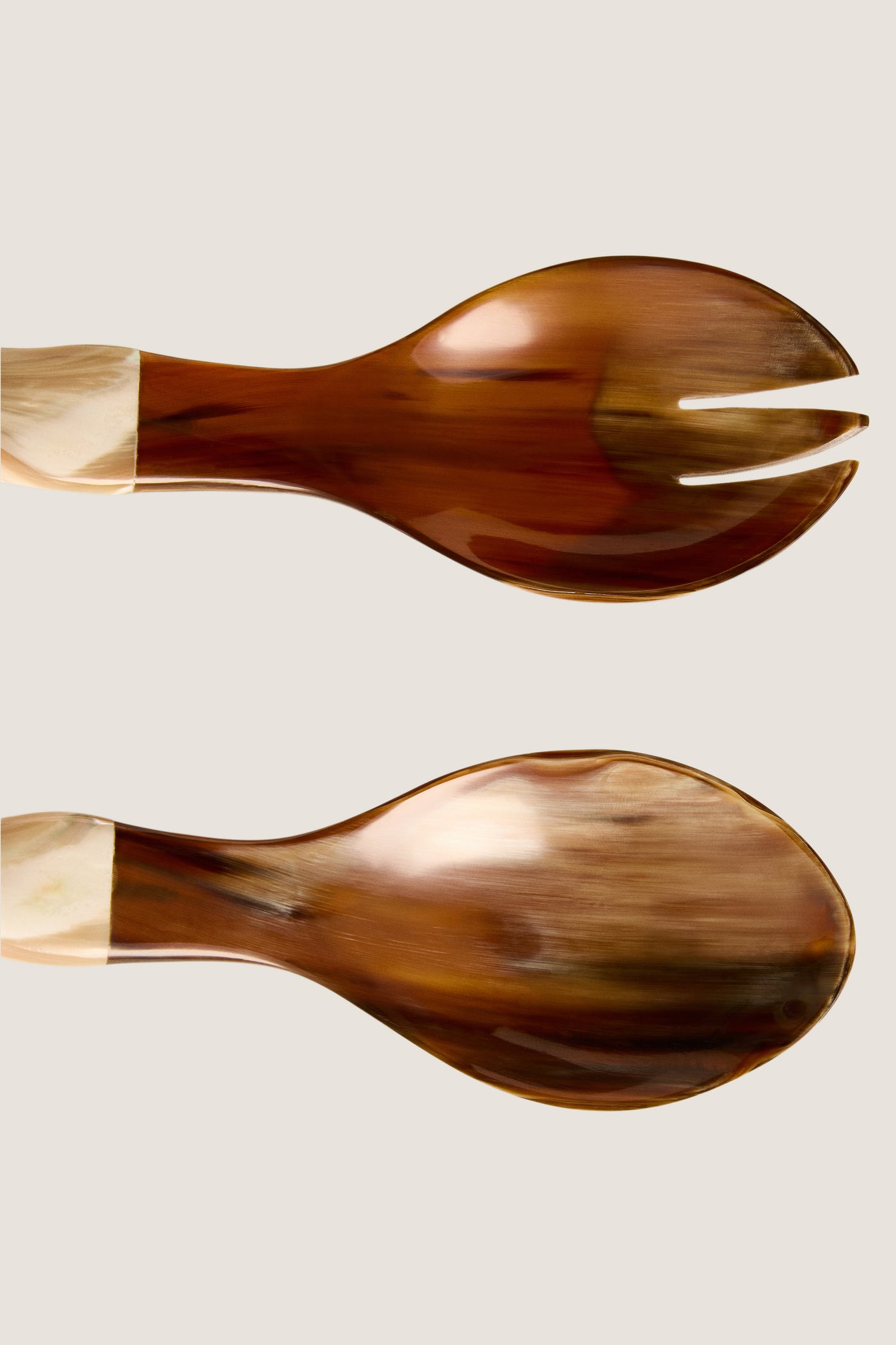Natural Horn and Shell Seychelles Servers