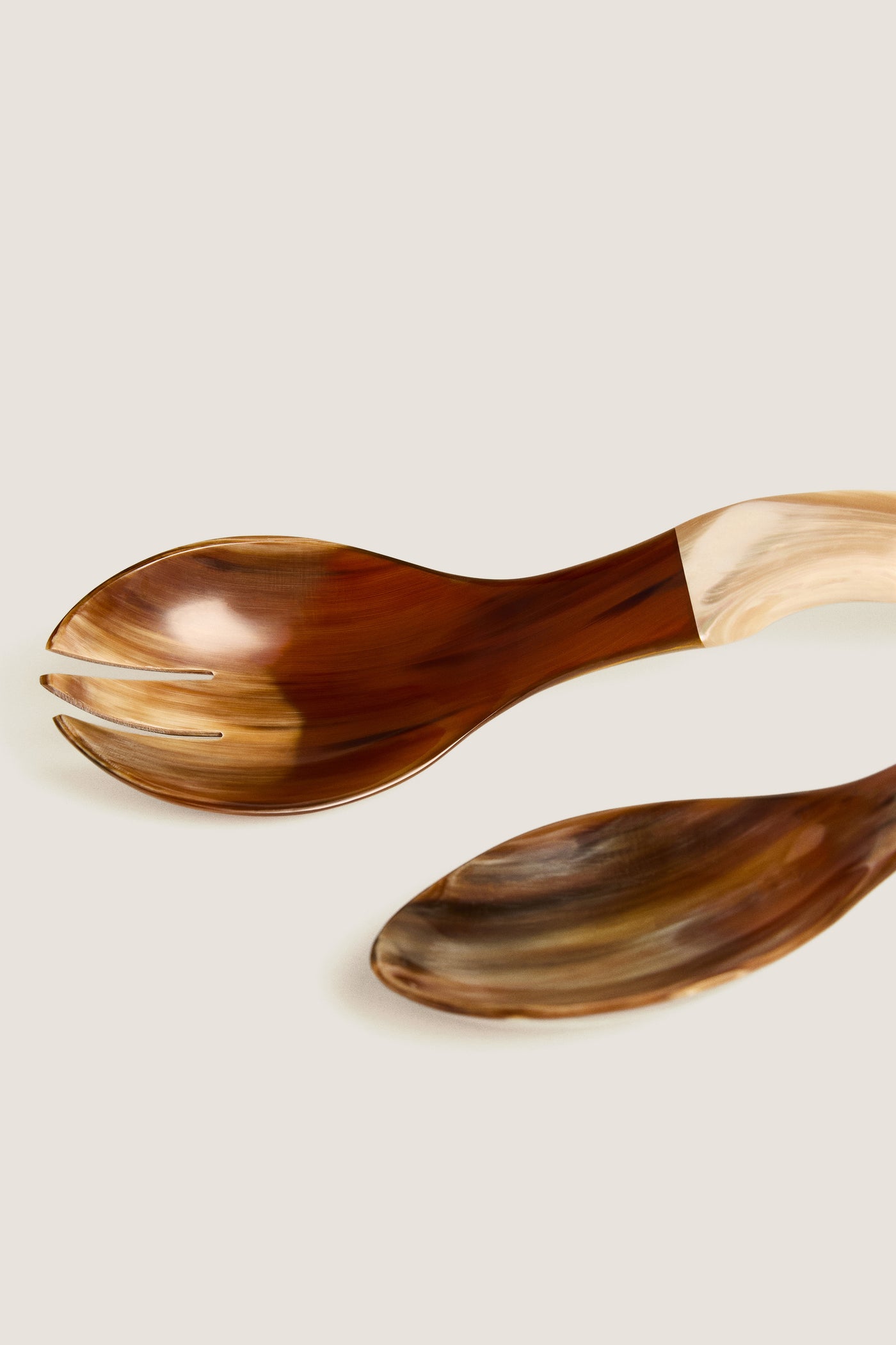Natural Horn and Shell Seychelles Servers