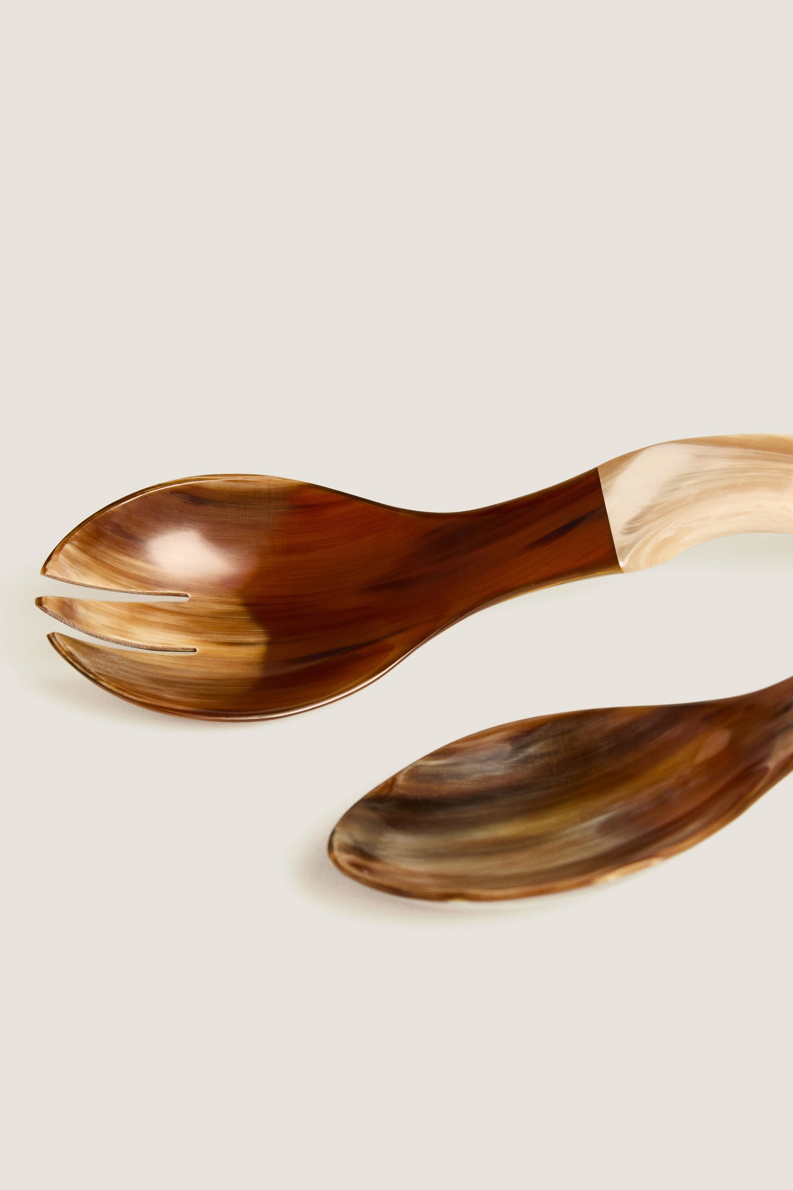 Natural Horn and Shell Seychelles Servers