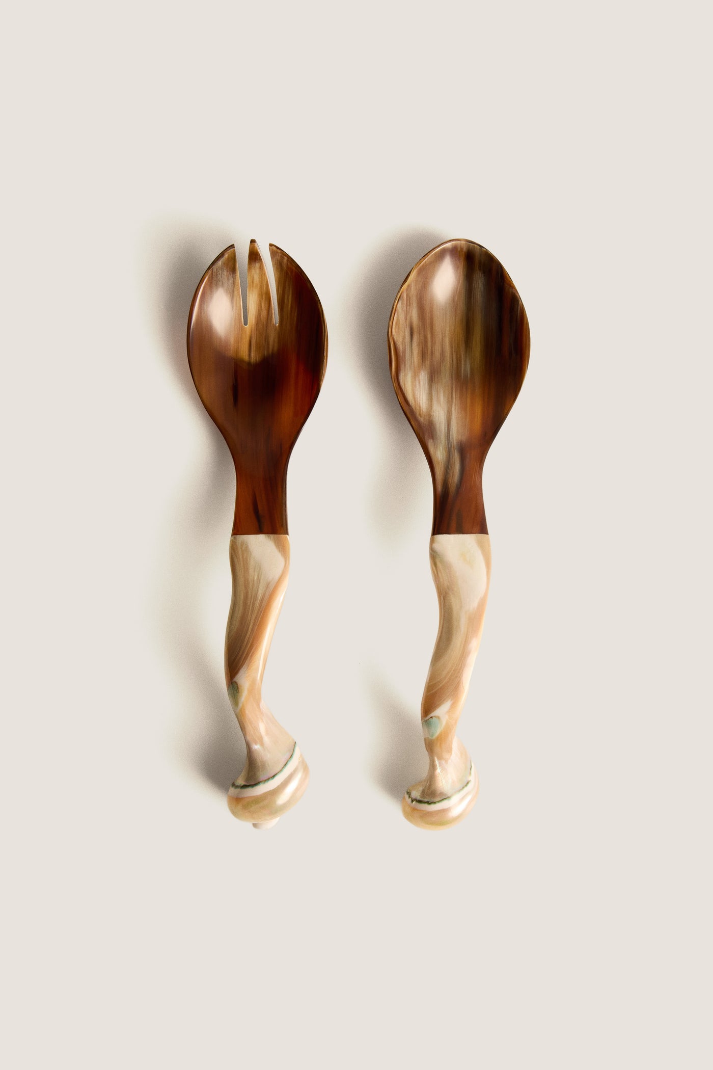 Natural Horn and Shell Seychelles Servers