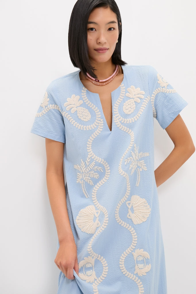 Blue Seersucker Embroidered James Dress | Tuckernuck