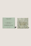 Exfoliating Peppermint Soap Brick