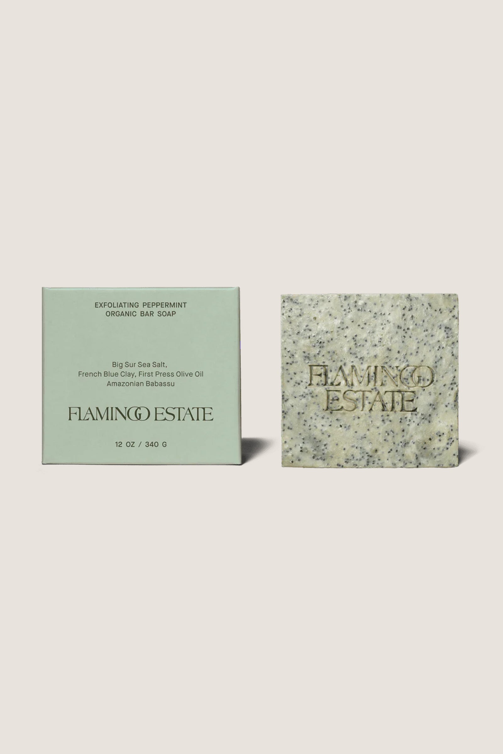 Exfoliating Peppermint Soap Brick