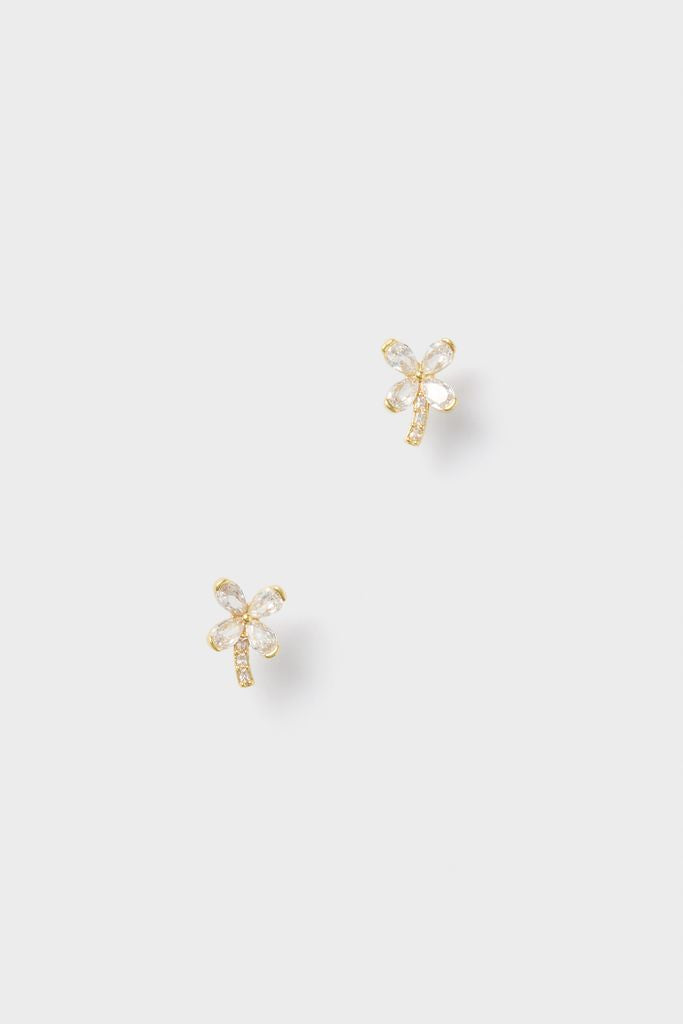 Gold Iona Climber