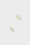 Gold Holly Studs