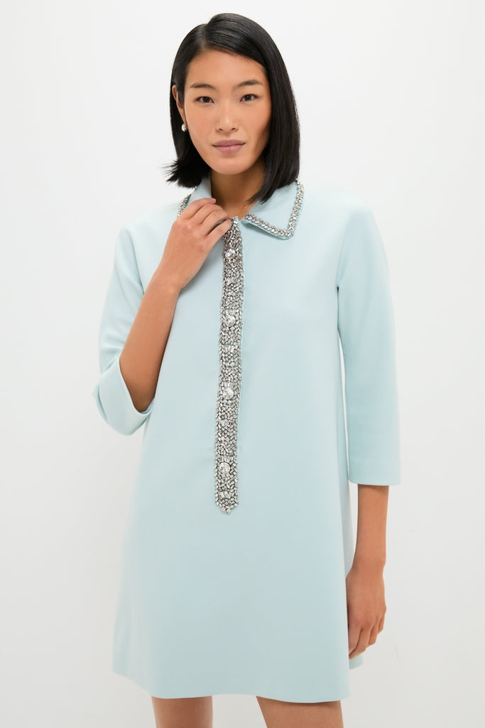 Ice Blue Embellished Nicola Dress featuring a classic, effortless A-line design with metallic-beaded trim; perfect for fun, high-end occasions.
