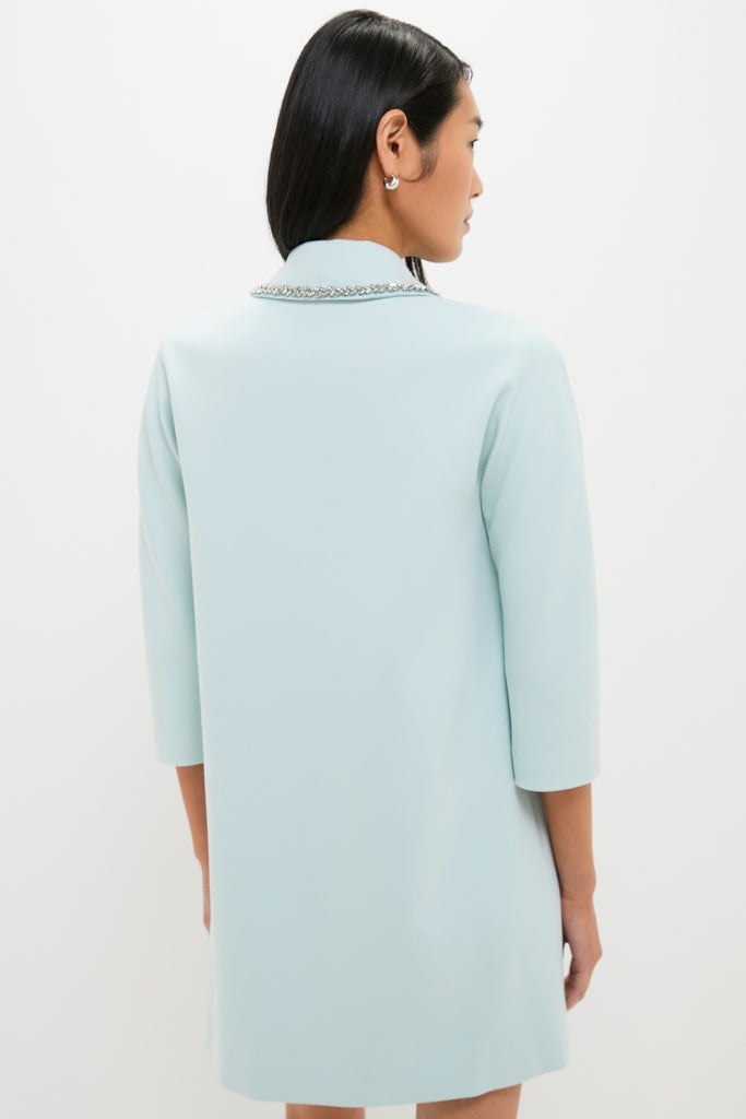 Woman in a classic, effortless Ice Blue Embellished Nicola Dress with three-quarter sleeves, showcasing a decorative neckline trim, embodying a high-end, fun style.