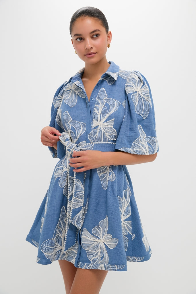 green emerald velvet dress Chambray & Ivory Embroidery Cindy Mini Dress