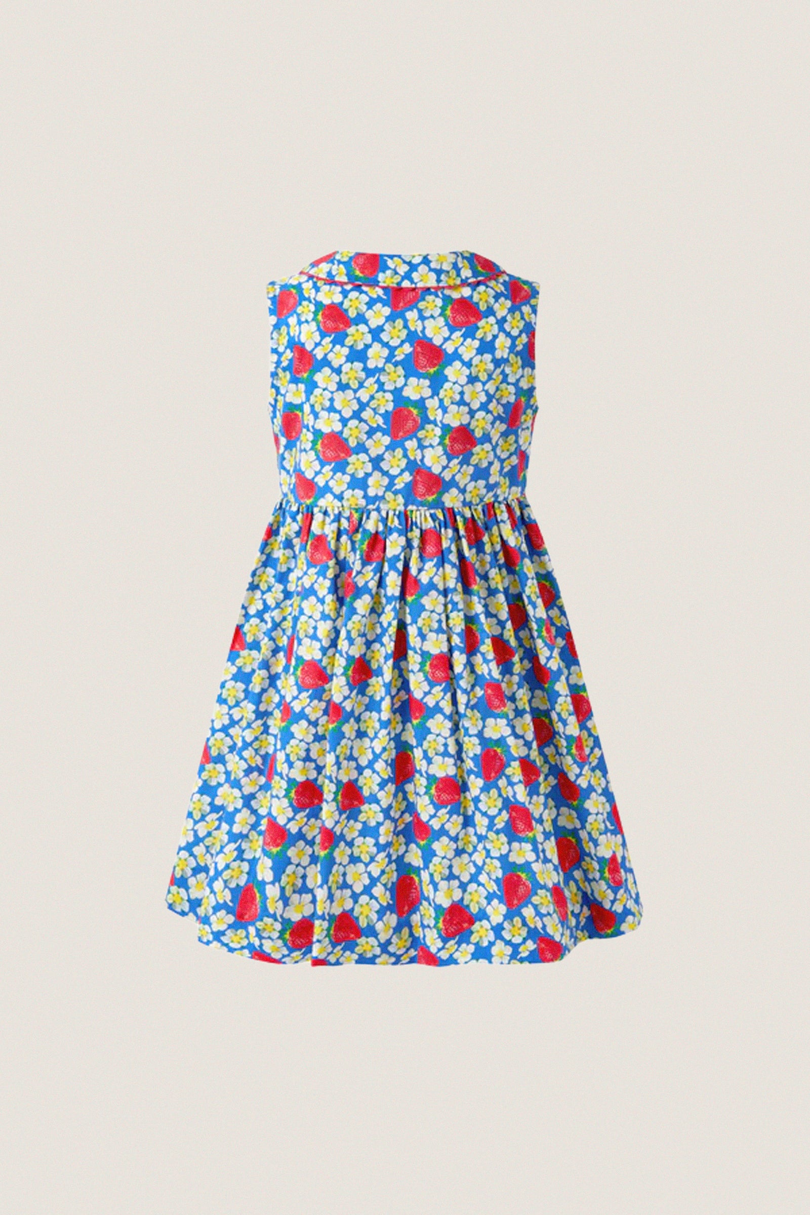 Strawberry Blossom Dress