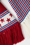 USA Salt Lake Scarf