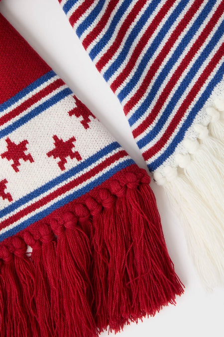 USA Salt Lake Scarf