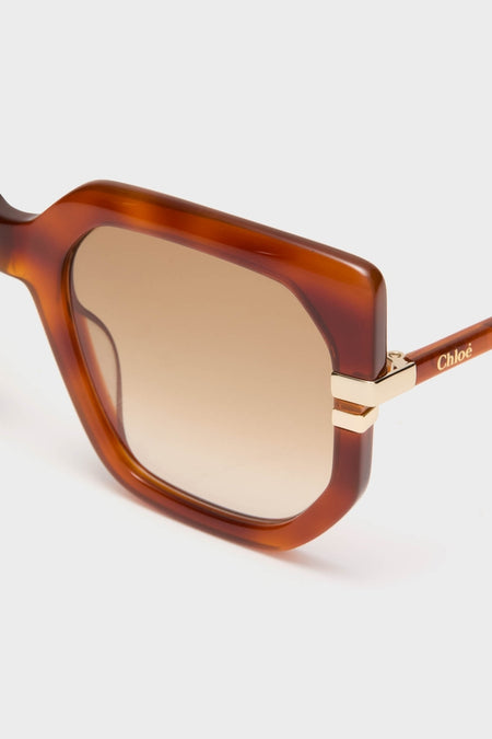 Shiny Blonde Havana West Sunglasses featuring a classic, chunky amber-brown acetate frame with gradient brown lenses and gold-tone hinges, exuding an effortless, high-end style.