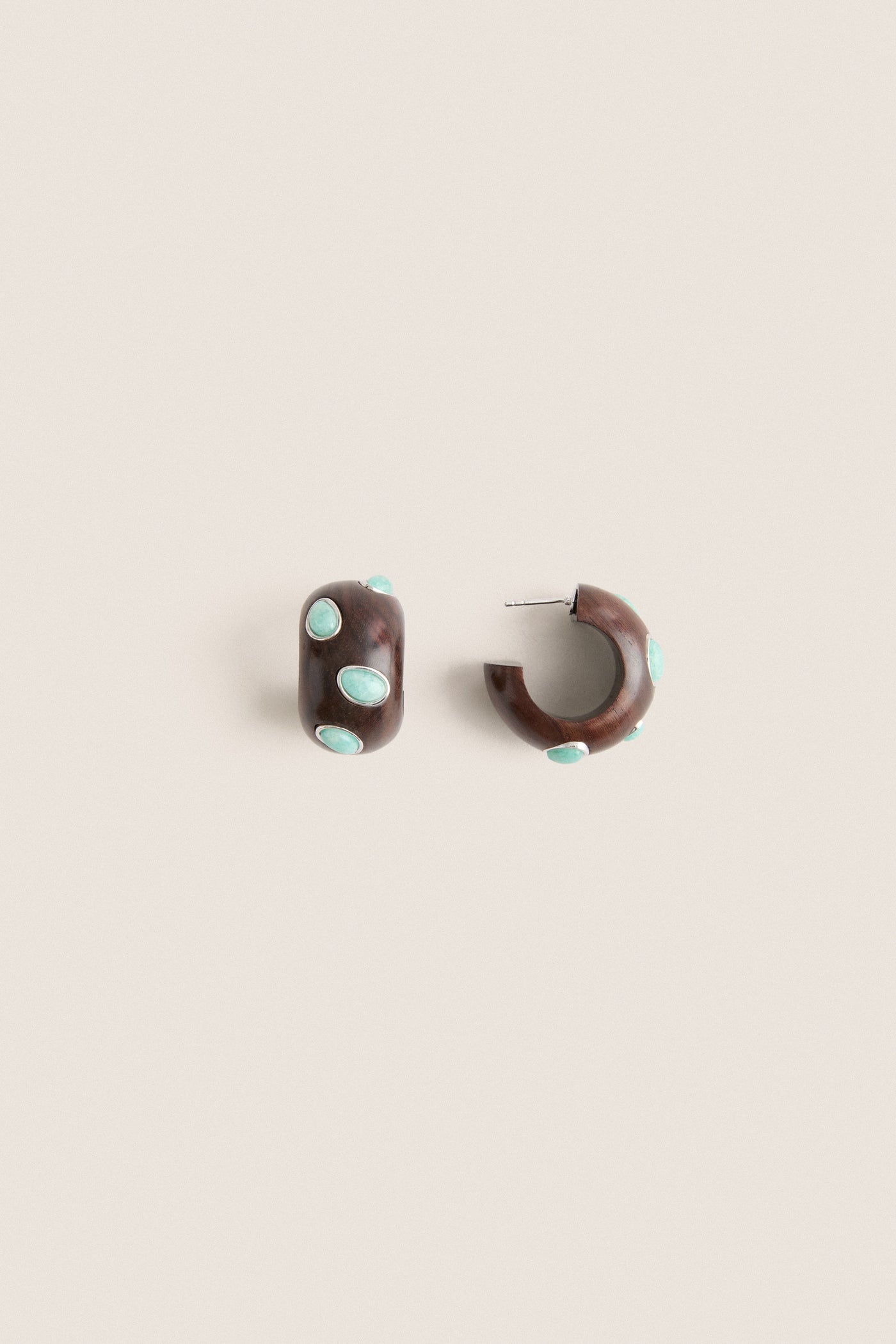 Tuckernuck x Lizzie Fortunato Amazonite Acacia Earrings