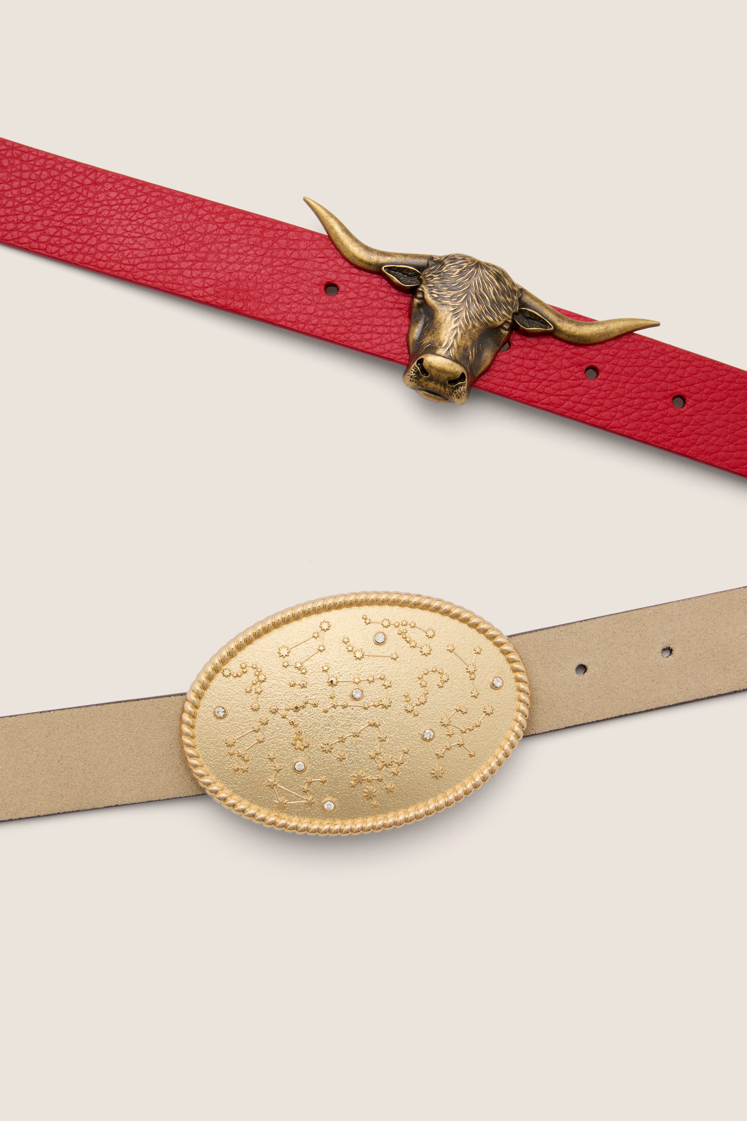 Espresso and Chantilly Suede Belt