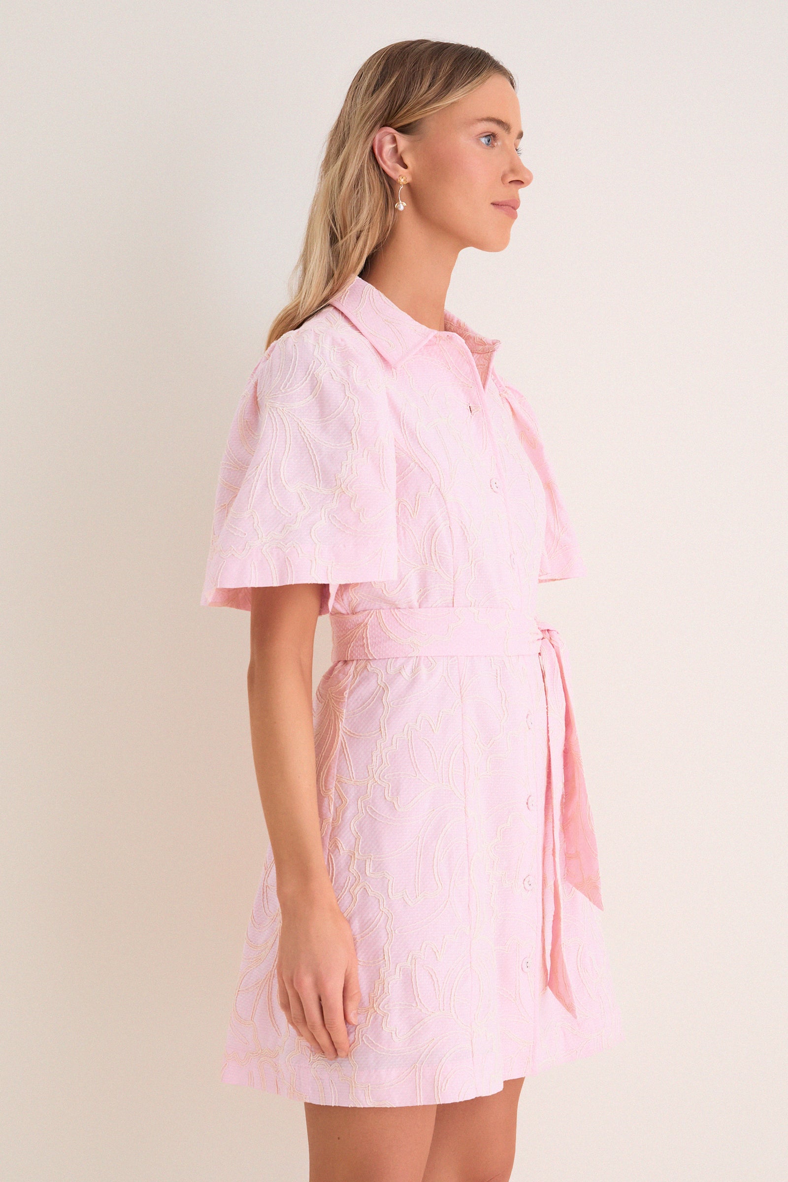 Light Pink Embroidered Gingko Leaf Peppa Mini Dress