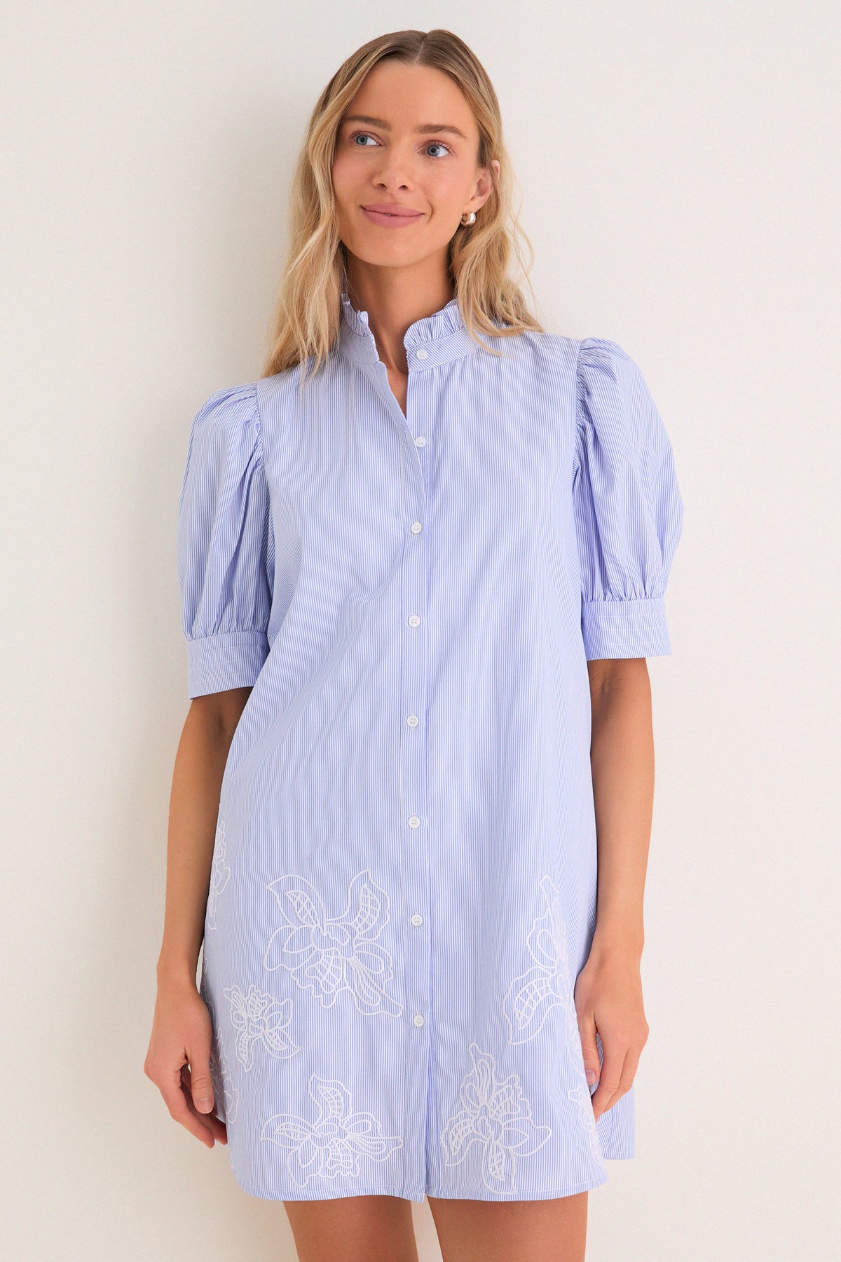 Hyacinth House Blue Embroidered Pinstripe Louisa Mini Dress Blue Embroidered Pinstripe / M