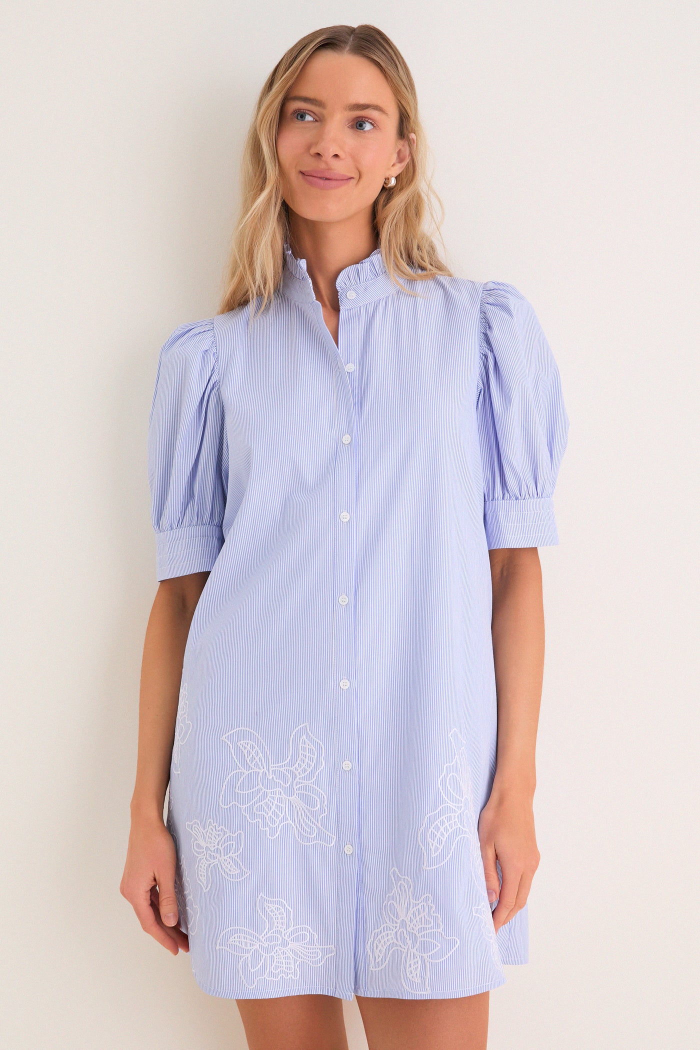 Blue Embroidered Pinstripe Louisa Mini Dress | Hyacinth House Blue Embroidered Pinstripe Louisa Mini Dress | Hyacinth House