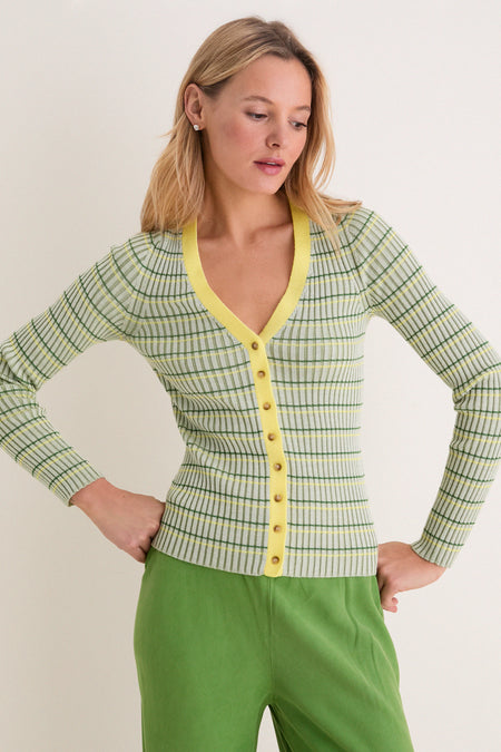 Celadon, Cactus and Sunshine Striped Iggy Cardigan