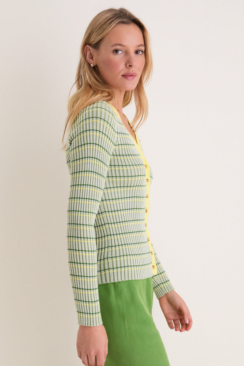 Celadon, Cactus and Sunshine Striped Iggy Cardigan