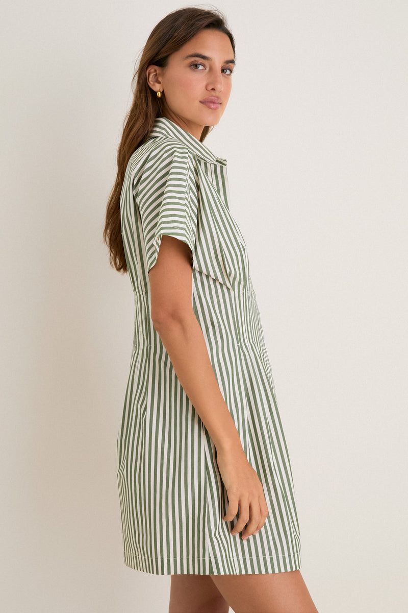 Jardin Stripe Cotton Poplin Mini Callie Dress