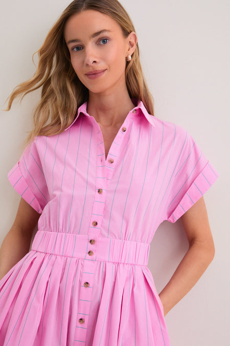 Watermelon Stripe Howard Dress