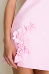 Pink 3D Floral Applique Rosey Mini Dress