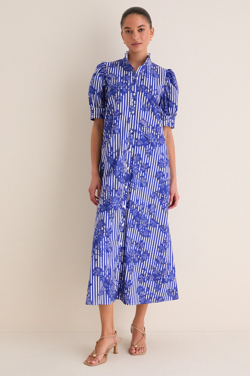 Blue & White Striped Floral Louisa Maxi Dress