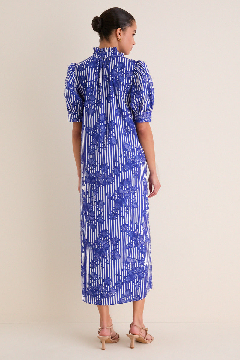 Blue & White Striped Floral Louisa Maxi Dress